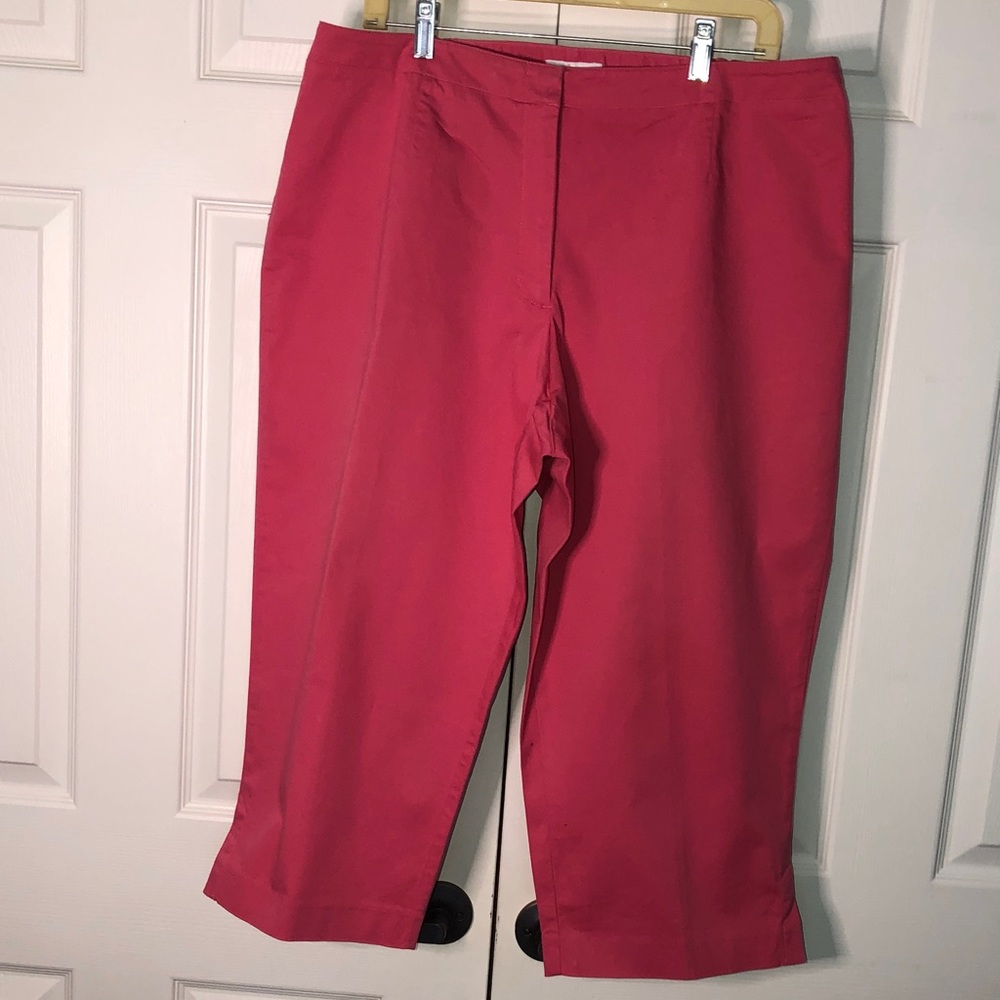 Pink Capris Semi-FlarePants (NWOT)